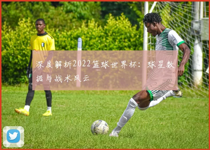 深度解析2022篮球世界杯：球星数据与战术风云
