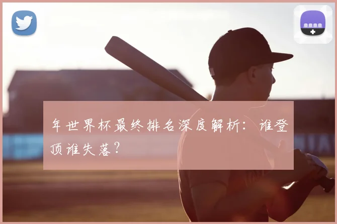 年世界杯最终排名深度解析：谁登顶谁失落？