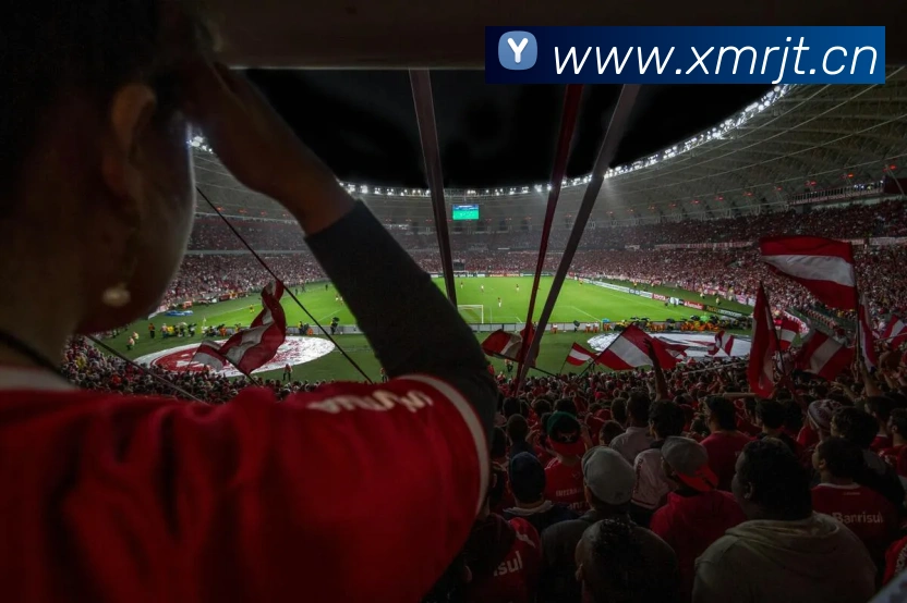 星空入口网页版登录品牌故事