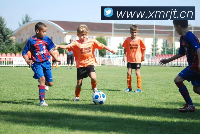 星空入口网页版登录服务体系